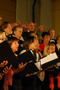 Programma concerti 2013