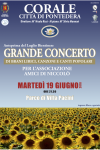 GRANDE CONCERTO PER L’ASS. AMICI DI NICCOLO’